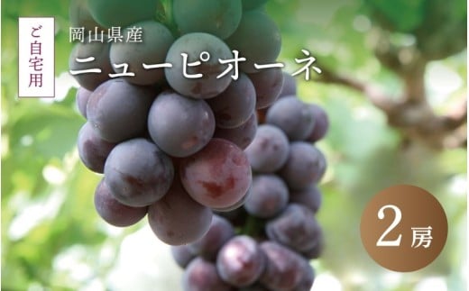真庭市産 ニューピオーネ 自宅用 2房 /  (2026年8月中旬以降発送予定) ぶどう 自宅用 訳あり 岡山 真庭 ピオーネ 真庭市 大粒 葡萄 果物 フルーツ 産地直送 新鮮 濃厚 ピオーネ 人気 数量限定 お買い得 岡山名産 スイーツ 種なし 【配送不可地域：北海道／沖縄県／離島】  【jujy015-02】