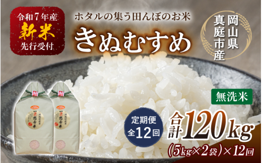 ＜定期便 全12回＞ 令和７年新米 真庭市産きぬむすめ　無洗米 10kg (5kg×2袋) ×12回 / お米 国産 岡山県 米 人気 ブランド 2025年産 【tkns-tkb024】