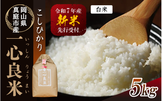 【令和7年産先行予約】 真庭市産コシヒカリ 米ぬか 牡蠣栽培米 『 一心良米 』 白米 ５kg / お米 いっしんりょうまい 岡山県 真庭市 白米 米 コシヒカリ こしひかり 人気 ブランド米 新米 令和7年産 2025年産 【takenaka005-02】