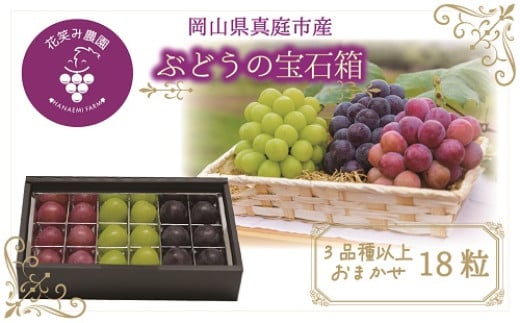 【2026年先行予約】花笑み農園　岡山『ぶどうの宝石箱』３種以上（18粒入り） 【hana050-02】