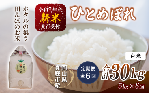 【令和7年産先行予約】＜定期便全６回＞ 令和７年新米 真庭市産 ひとめぼれ 白米 ５kg×６回 / お米 岡山県 真庭市 白米 米 ひとめぼれ 令和7年産 2025年産 【tkns-tkb002】