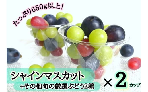 ※2026年の予約です！※【産地直送】フルーツ王国岡山！シャインマスカット入りぶどう粒カップ×２ / 岡山 真庭 シャインマスカット 食べ比べ 葡萄 ブドウ ぶどう 新鮮 果物 フルーツ 人気 数量限定 粒切 食べやすい  ギフト ぶどう専門 林ファミリー  (2026年9月～発送予定) 【hfbd002-02】