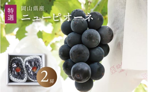 真庭市産 ニューピオーネ 特選大房 2房 / (2026年8月中旬以降発送予定) ぶどう 贈答用 ギフト 岡山 真庭 ピオーネ  真庭市 大粒 葡萄 果物 フルーツ 濃厚 ピオーネ 人気 数量限定 黒ぶどう 大粒 種なし スイーツ 【配送不可地域：北海道／沖縄県／離島】【jujy009-02】