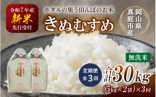 ＜定期便 全3回＞ 令和7年新米 真庭市産きぬむすめ 無洗米 10kg (5kg×2袋) ×3回 岡山県 竹中商店 先行予約 米 【tkns-tkb022】