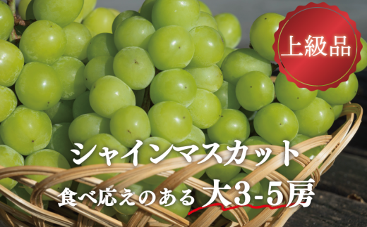 【きよとうファーム】シャインマスカット 上級品 大3-5房/計2.4kg~ (岡山県産)【KF-B072-01】