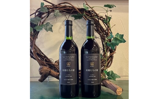 ヤマブドウ100％果汁「妖精たちの宴」2本セット ノンアルコール / ぶどう 岡山県 真庭市 ジュース ワイン 蒜山 【hwine003-01】