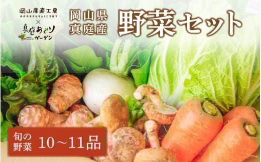 岡山の旬をお届け！ 真庭あぐり野菜セット 10～11品 便利なカット野菜入り / 産地直送 農家 お試し おためし野菜 岡山県 旬野菜 新鮮 あぐりガーデン 国産 【配送不可地域：北海道／沖縄県／離島】 yasai002 【jujiya002】