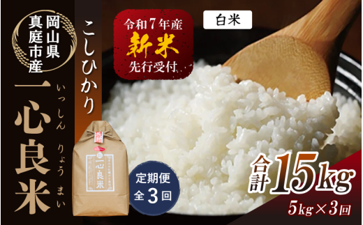 【令和7年産先行予約】 ＜全３回定期便＞ 真庭市産コシヒカリ 米ぬか 牡蠣栽培米 『 一心良米 』 白米 ５kg×３回（定期便） / お米 いっしんりょうまい 岡山県 真庭市 白米 米 コシヒカリ こしひかり 人気 ブランド米 新米 先行予約 定期便 令和7年産 2025年産 【takenaka005-02-tkb03】