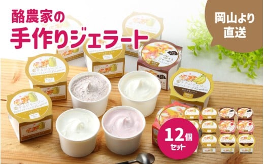 醍醐桜 恋するジャージージェラート 12個入 F / ジャージー牛100％使用 酪農家のジェラート 贈り物 プレゼント ジャージー ギフト スイーツセット 贈答 冷凍 子供から大人まで 人気 贅沢 ミルク バナナ いちご チョコチップ 【配送不可地域：北海道／沖縄県／離島】 daigozakura20 【jujiya043】
