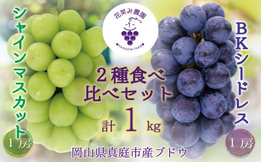 【2026年先行予約】 岡山 花笑み農園『シャインマスカット&BKシードレス』1kg(2房) 2026年9月下旬～ 受付順に発送予定 【hana047-02】