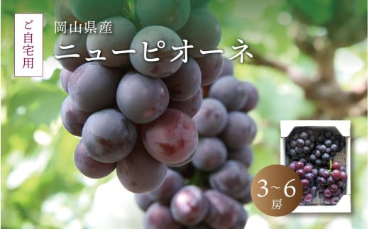 真庭市産 ニューピオーネ 自宅用 3～6房 /  (2026年8月中旬以降発送予定) ぶどう 自宅用 訳あり 岡山 真庭 ピオーネ 真庭市 大粒 葡萄 果物 フルーツ 濃厚 ピオーネ 人気 数量限定 黒ぶどう 大粒 種なし スイーツ 【配送不可地域：北海道／沖縄県／離島】【jujy007-02】 