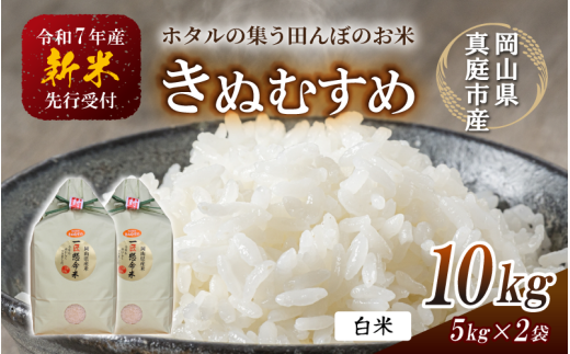令和7年新米 真庭市産 きぬむすめ 白米 10kg / お米 国産 岡山県 米 人気 ブランド 2025年産 【tkns006-01】
