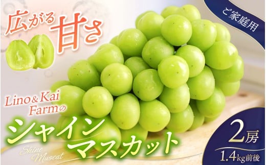 【2026年先行予約】 【ご家庭用】 Lino＆Kai Farmのシャインマスカット 2房（1.4kg前後） 化粧箱入  / 朝採れ ぶどう 岡山  真庭市 シャインマスカット 高級 ギフト 大粒 果物 贈答 人気 産地直送 国産 数量限定 種なし 【linokai008-02】