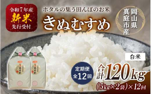 ＜定期便 全12回＞令和7年新米 真庭市産きぬむすめ 白米10kg(5kg×2袋)×12回 / お米 国産 岡山県 米 人気 ブランド 2025年産 【tkns-tkb018】