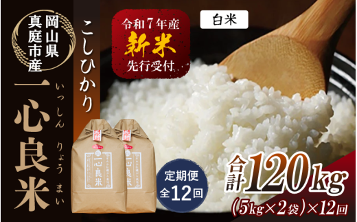 【令和7年産先行予約】＜全12回定期便＞ 真庭市産コシヒカリ 米ぬか 牡蠣栽培米 『 一心良米 』 白米 １０kg(5kg×2袋）×１２回（定期便） / お米 いっしんりょうまい 岡山県 真庭市 白米 米 コシヒカリ こしひかり 人気 ブランド米 新米 先行予約 定期便 令和7年産 2025年産 【takenaka006-02-tkb12】