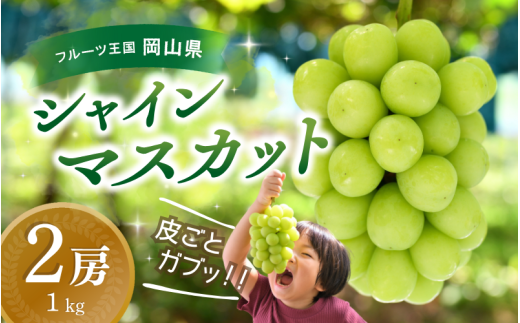 【2026年先行予約】 花笑み農園 シャインマスカット1kg（2房）贈答用 岡山 真庭 シャインマスカット 大粒 ぶどう 2026年9月下旬～ 受付順に発送予定 【hana015-03】
