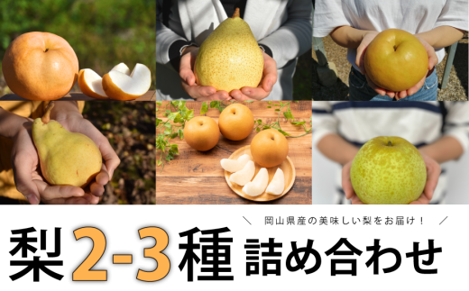 【2026年先行予約】梨好きのための、梨2～3種食べ比べ ご家庭用 5-7玉 (岡山県産) 【KF-C016-02】