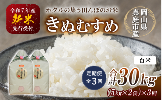 ＜定期便 全3回＞令和7年新米 真庭市産きぬむすめ 白米 10kg(5kg×2袋）×3回 / お米 国産 岡山県 米 人気 ブランド 2025年産 【tkns-tkb016】