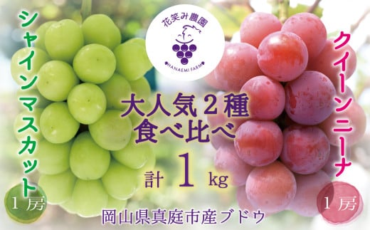 【2026年先行予約】岡山 花笑み農園の『シャインマスカット＆クイーンニーナ』 1㎏（2房） 【hana066-02】
