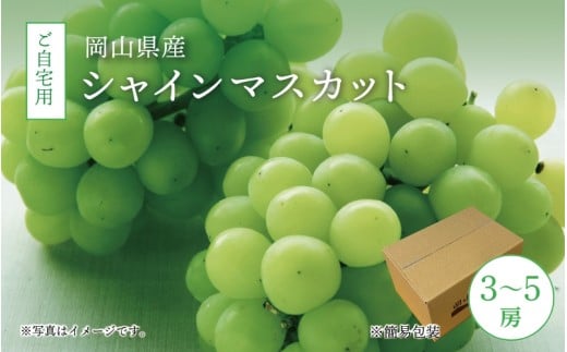 真庭市産 シャインマスカット 自宅用 3～5房 2kg / (2026年9月中旬以降発送予定) ぶどう 岡山 真庭 大粒 葡萄 果物 フルーツ ブドウ シャインマスカット 人気 数量限定 ご家庭用 皮ごと マスカット 産地直送 お買い得 新鮮 数量限定 岡山名産 定番 【配送不可地域：北海道／沖縄県／離島】【jujy005-02】