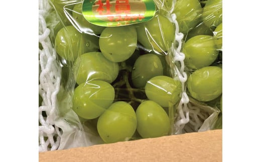 ã2026幎å
è¡äºçŽãèš³ããã ãã©ãçïœãã·ã£ã€ã³ãã¹ã«ãã/çŽ2.2kg (岡山çç£)ãKF-B015-03ã