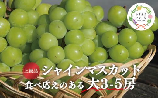 【2026年先行受付】【きよとうファーム】シャインマスカット 上級品 大3-5房/計2.4kg~ (岡山県産) KF-W072-01 ぶどう マスカット 真庭市 【KF-W072-01】