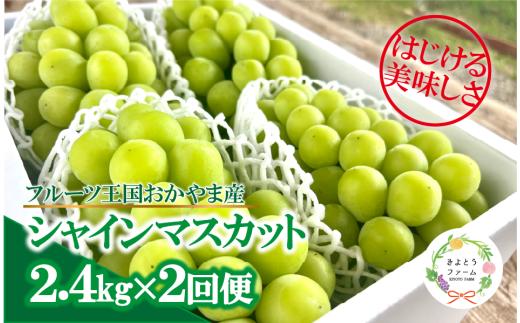 岡山のシャインマスカットを楽しむ満足2回便！大3-5房入×2回/全便計4.8kg～ (定期便)(岡山県産) 【KF-T065-01】