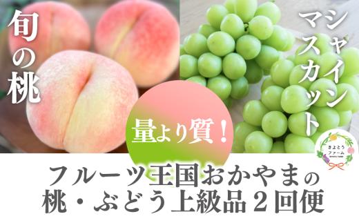 【2026年先行予約】量より質！桃とシャインマスカット、上級品の2回便 (定期便) (岡山県産)  / 8月10月 【KF-T060-01】