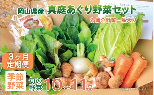 【3カ月定期便】真庭あぐり野菜セット カット野菜が1品入る 10～11品 / 産地直送 農家 お試し 岡山県 新鮮 あぐりガーデン 国産 【配送不可地域：北海道／沖縄県／離島】 【jujy-tkb051】