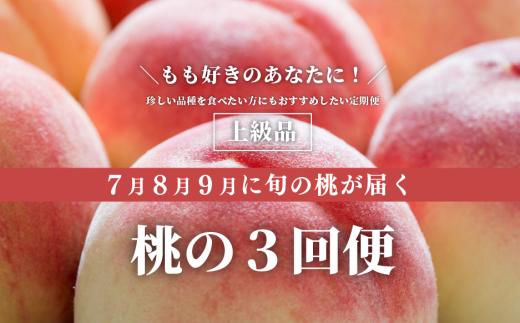 【2026年先行予約】旬の桃をぜいたくに味わう！上級品の３回便(定期便) (岡山県産)【KF-T058-01】
