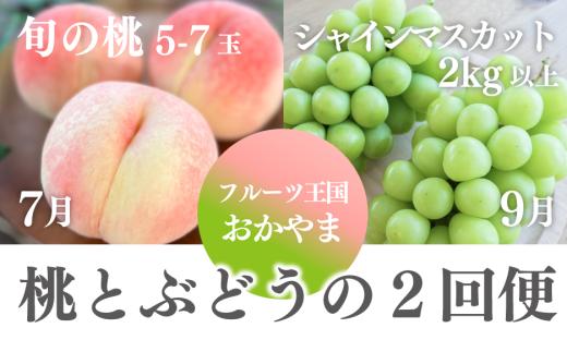 【2026年先行予約】桃も葡萄もしっかり食べたい！旬桃とシャインマスカットの満足便 (定期便) (岡山県産) / 7月9月 【KF-T061-01】