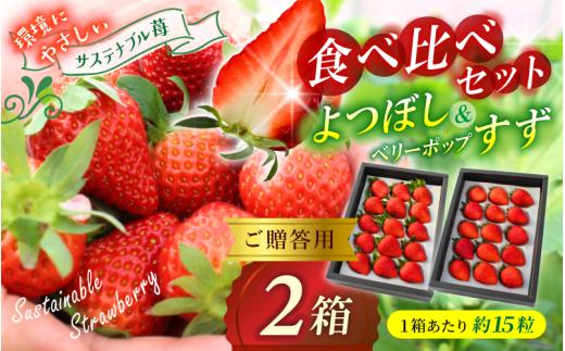 【贈答用】 高級いちご よつぼし すず 食べ比べセット （15粒 × 2箱） ゆりかご入り / いちご イチゴ ストロベリー 苺 食べ比べ こだわり 新鮮 産直 産地直送 サステナブル 果物 フルーツ くだもの ギフト プレゼント 贈答 岡山県 真庭市 ハッピーファーム 【hfpr001-01】