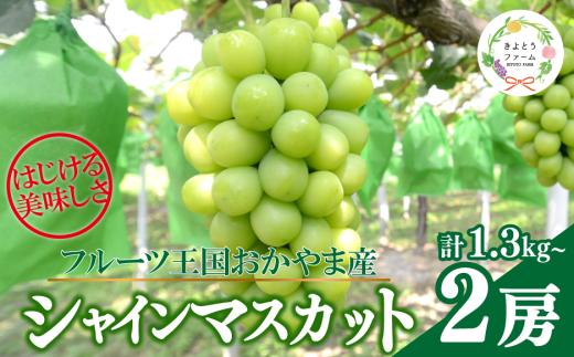 【2026年先行受付】【きよとうファーム】シャインマスカット 特大２房入/計1.3kg~ (岡山県産) ぶどう マスカット 真庭市 【KF-W014-02】
