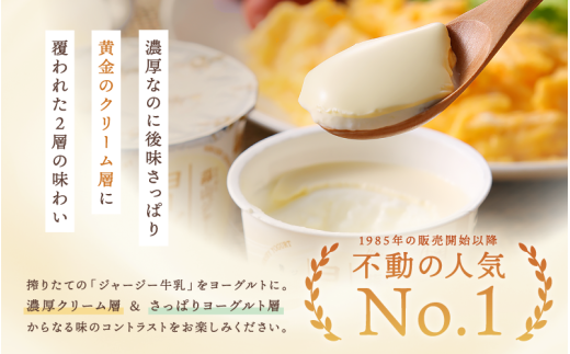 ヨーグルトランキング入★ ひるぜんジャージーヨーグルト 20個 ご当地グランプリ金賞 冷蔵便 / 蒜山 スイーツ デザート プレゼント 贈答 蒜山酪農 岡山県真庭市 ジャージー牛乳 ミルク 濃厚 ギフト おやつ 人気 【hiru001-02】