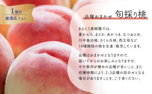 ã2026幎å
è¡äºçŽãéãã質ïŒå³éžããå€§çæ¡ãšå€§ç²ã®ã·ã£ã€ã³ãã¹ã«ãããå±ãïŒåäŸ¿ïŒ (å®æäŸ¿)(岡山çç£)ãKF-T063-01ã