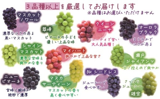 【2026年先行予約】花笑み農園　岡山『ぶどうの宝石箱』３種以上（18粒入り） 【hana050-02】