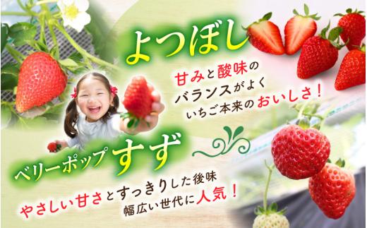 ããå®¶åºçšã ãã¡ã ãã€ãŒã ãã åçš®ããŸãã 500g ïŒ250g à 2ããã¯ïŒ / ãã¡ã ã€ã㎠ã¹ããããªãŒ èº èªå®
çš ãã ãã æ°é®® ç£çŽ ç£å°çŽé ãµã¹ãããã« æç© ãã«ãŒã ãã ã㮠岡山ç çåºåž ããããŒãã¡ãŒã ãhfpr004-01ã