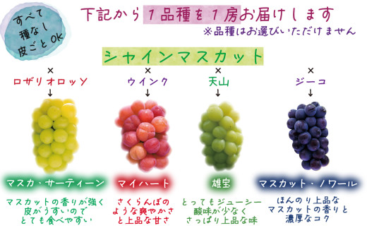 ã2026幎å
è¡äºçŽã岡山 è±ç¬ã¿èŸ²åããåäž»ããããã¶ã©ã2çš®ã»ãããïœã·ã£ã€ã³ã®èŠªåã»ããïœ ãhana065-02ã