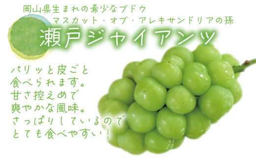 ã2026幎å
è¡äºçŽã岡山ãè±ç¬ã¿èŸ²åã®ãç¬æžãžã£ã€ã¢ã³ããïŒïœgïŒïŒæ¿ïŒ ãhana040-02ã