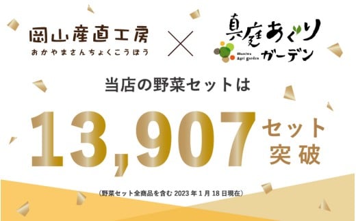 真庭あぐり野菜セット（野菜10品・卵・ヨーグルトのセット） / 産地直送 農家 お試し 岡山県 旬野菜 新鮮 あぐりガーデン 国産 蒜山 ジャージー牛 たまご 真庭市 カット野菜 平飼い卵 新鮮 【配送不可地域：北海道／沖縄県／離島】 【jujy027-01】