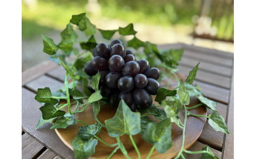 【きよとうファーム】薫り高い黒ぶどう「黒いアルファ」のロゼワイン「BLACK DAWN」 (岡山県産)【KF-S010-03】