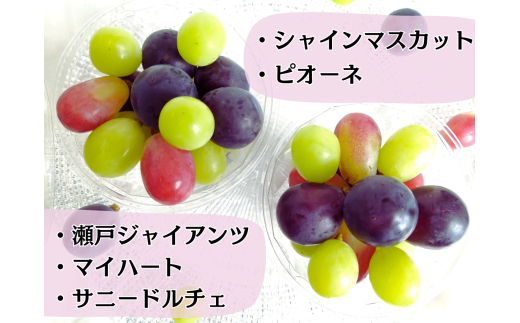 â»2026幎ã®äºçŽã§ãïŒâ»ãç£å°çŽéããã«ãŒãçåœå²¡å±±ïŒã·ã£ã€ã³ãã¹ã«ããå
¥ãã¶ã©ãç²ã«ããÃïŒ / 岡山 çåº ã·ã£ã€ã³ãã¹ã«ãã é£ã¹æ¯ã¹ è¡è ãã㊠ã¶ã©ã æ°é®® æç© ãã«ãŒã äººæ° æ°ééå® ç²å é£ã¹ããã ã®ãã ã¶ã©ãå°é æãã¡ããªãŒ (2026幎9æïœçºéäºå®) ãhfbd002-02ã