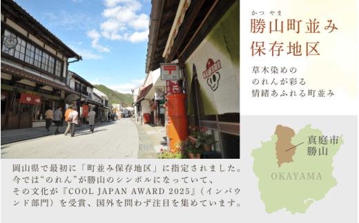 勝山 手ぬぐい 絞り染め体験 2名様分 / 真庭 勝山 草木染 染物 体験 チケット 草木染め 自然 自然素材 【hnkk004-01】