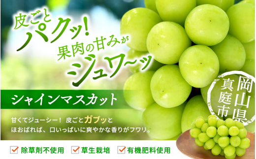 【2026年先行予約】 シャインマスカット&ニューピオーネ 1kg～1.5kg（2房） 2026年9月中旬～ 受付順に発送予定 贈答用にも 花笑み農園 ぶどう 岡山 真庭 ピオーネ 詰め合わせ 食べ比べ シャインマスカット 【hana007-03】
