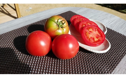 亮麻農園　大玉トマト「桃太郎」3.2～4.0kg【rmne001-02】