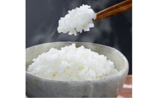 ＜定期便 全3回＞ 令和7年産 真庭市産 太安さんちのあきたこまち 白米 10kg（5kg×2袋) ×3回 / お米 国産 岡山県 人気 ブランド 2025年産 【tkns-tkb042-cho】
