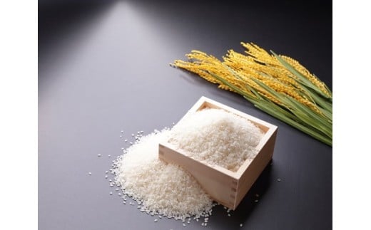 令和7年新米 真庭市産 太安さんちのあきたこまち 無洗米 10kg（5kg×2袋） / お米 岡山県 人気 ブランド 2025年産 【tkns017-01】