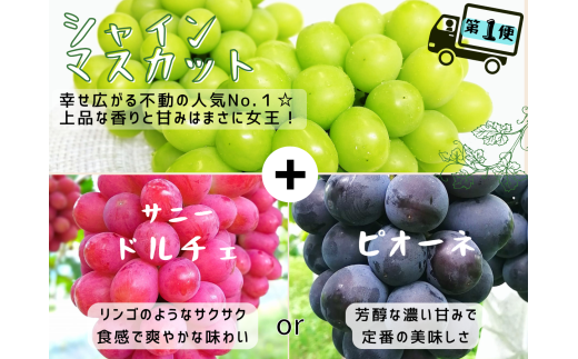 【産地直送】※2026年の予約です！※ 岡山シャインマスカット＆マイハート入り！新鮮ぶどう定期便 ２.４ｋｇ(４～６房)　２回に分けてお届け！ / ぶどう ブドウ 葡萄 シャインマスカット マイハート ピオーネ サニードルチェ 瀬戸ジャイアンツ 贈答 果物 フルーツ 新鮮 人気 数量限定 ぶどう専門 林ファミリー【hfbd-tkb005-02】