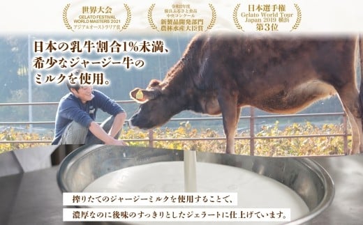 【ジェラート醍醐桜】【熨斗】恋するジャージーマンゴー 6個セット / 岡山 真庭 醍醐桜 極上スイーツ 濃厚 プレゼント 贈答 デザート ギフト ジャージー牛 ミルク ジェラート おやつ マンゴー 子供から大人まで 冷凍 人気 贅沢  【nhss014n-01】