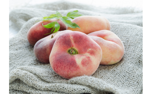 ããããšããã¡ãŒã ãå¹»ã®æ¡ãè æ¡ã®ãªãã¥ãŒã«ãã»ãé
ãçŽå
ã(岡山çç£)ãKF-S001-03ã